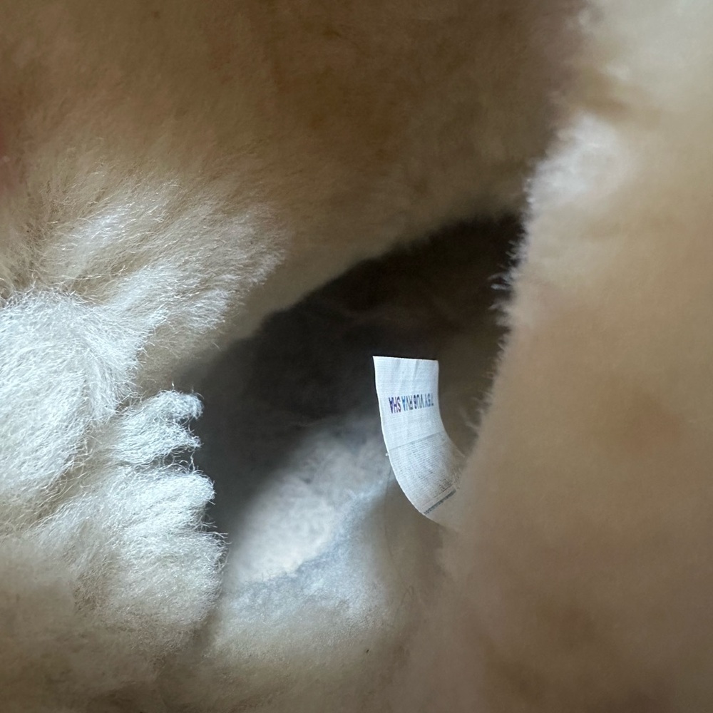 UGG Mini Bailey Bow boots - Picture 6 of 6